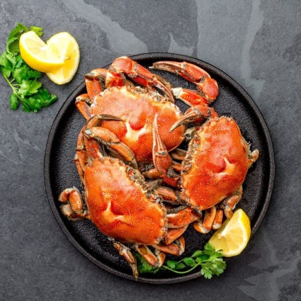 Crab